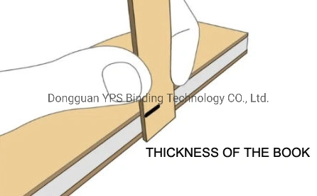 YPS High Standard Different Gold Twin Loop Wire